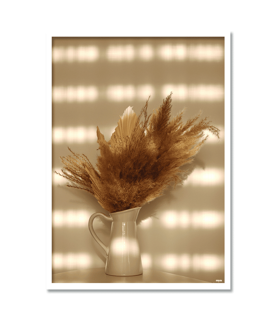 Pampas Grass In Vase 